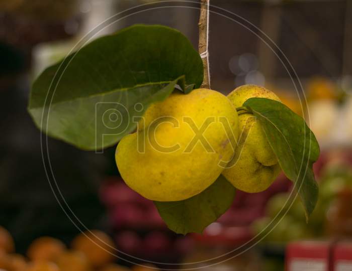 Two Hanging Lakoocha Or Monkey Jack Fruit With Leafs In A Local Fruit Shop With Blurred Fruit In Background