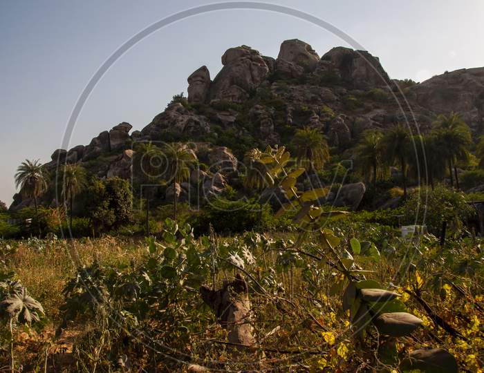 Landscape Of Mount Abu Of Rajasthan
