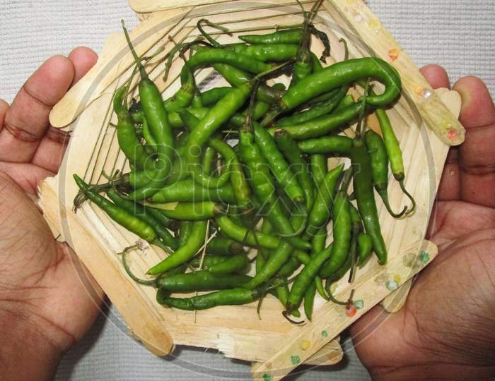 Hari mirchi in hand , green chillies
