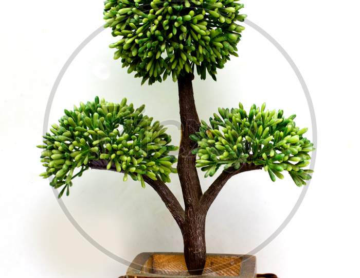 An Artificial plant on White Background