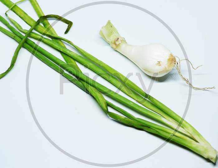Fresh Green Spring Onion With Roots On An Isolated White Background