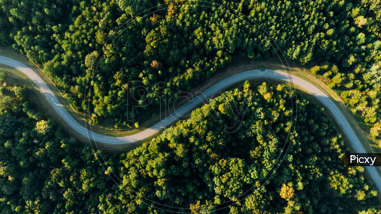 Aerial photo of the empty meandering road in between forest.