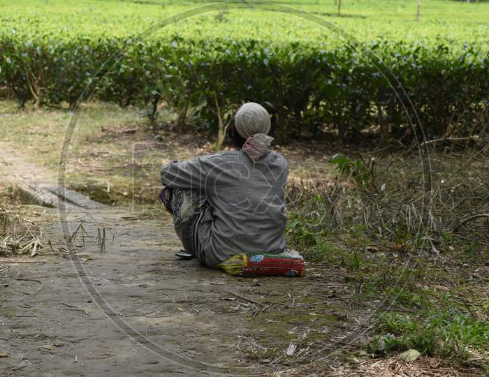 a tea garden lady labour is taking rest after long shift of work