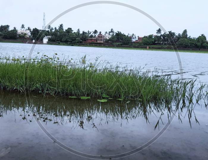 Morning view of Bindu Sagar pond