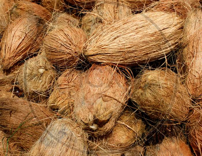 Close up shot of a Coconuts