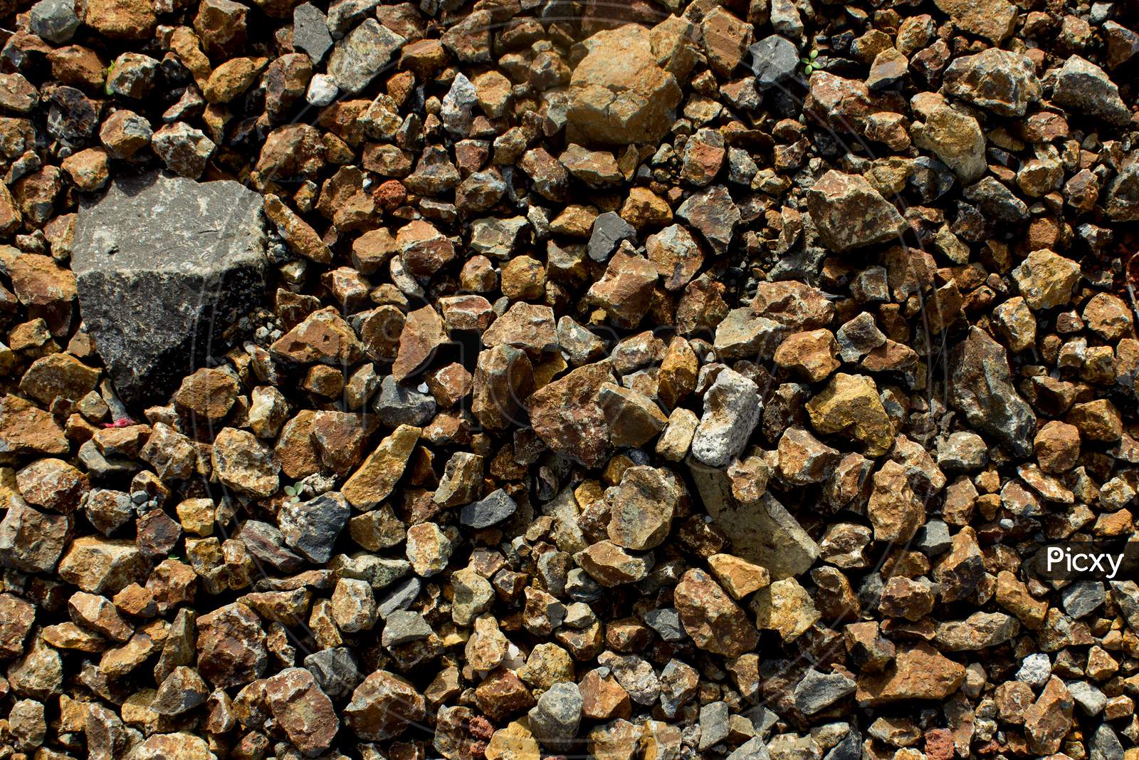 Close up shot of Stone