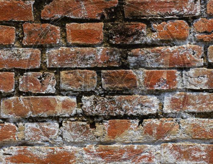 Selective focus on Brick Wall