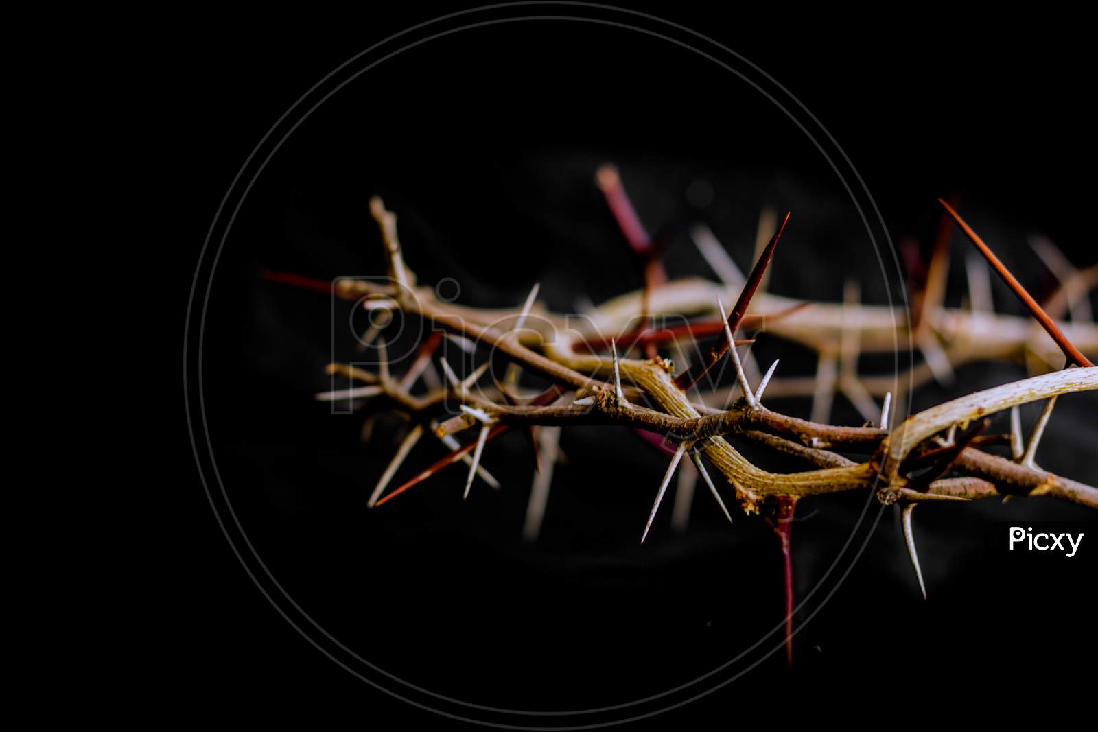 Crown Of Thorns And Nails Symbols Of The Christian Crucifixion In Easter