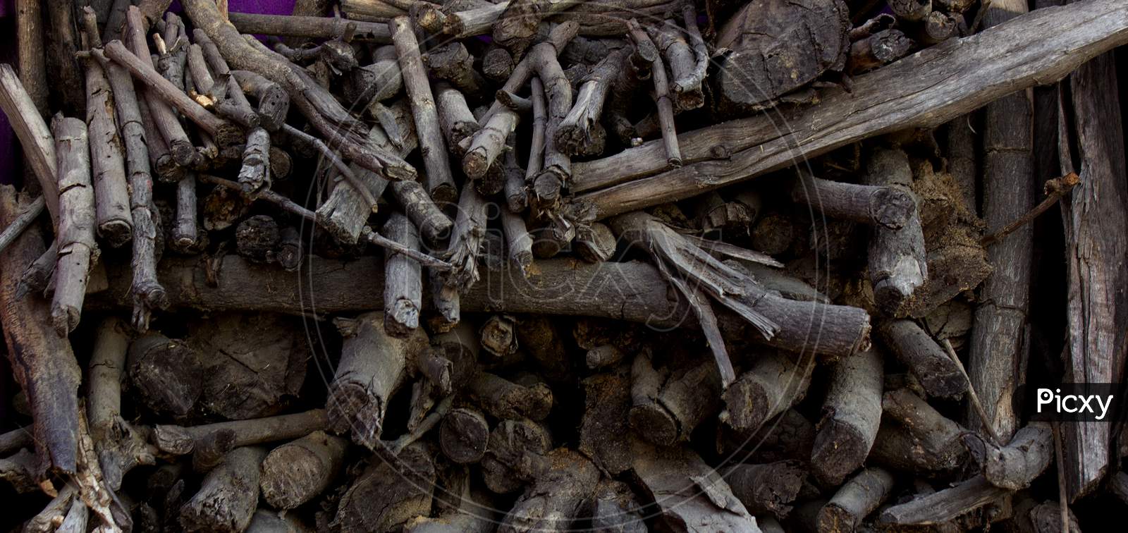 Selective focus on dried tree sticks