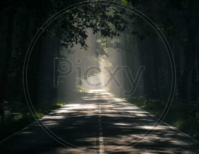 Dark and lonely road in the countryside in a forest.