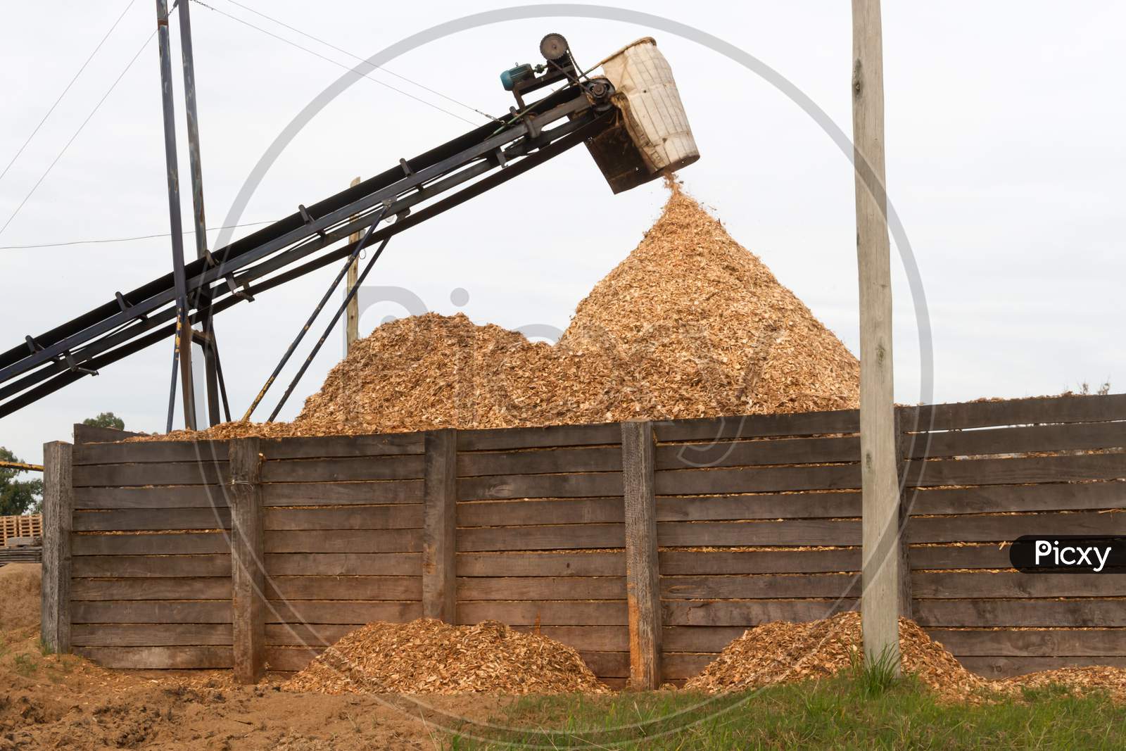 Hopper Forming A Pile Of Sawdust In The Wood Industry