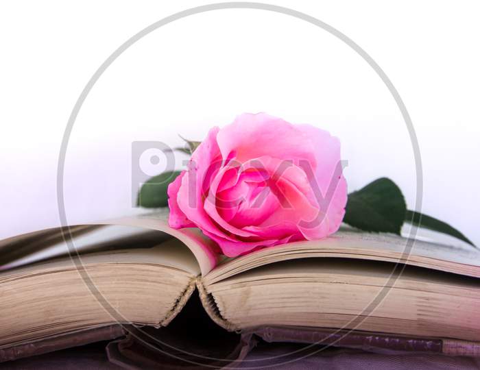Open Book With A Pink Pink Rose As A Symbol Of Romance And Literature