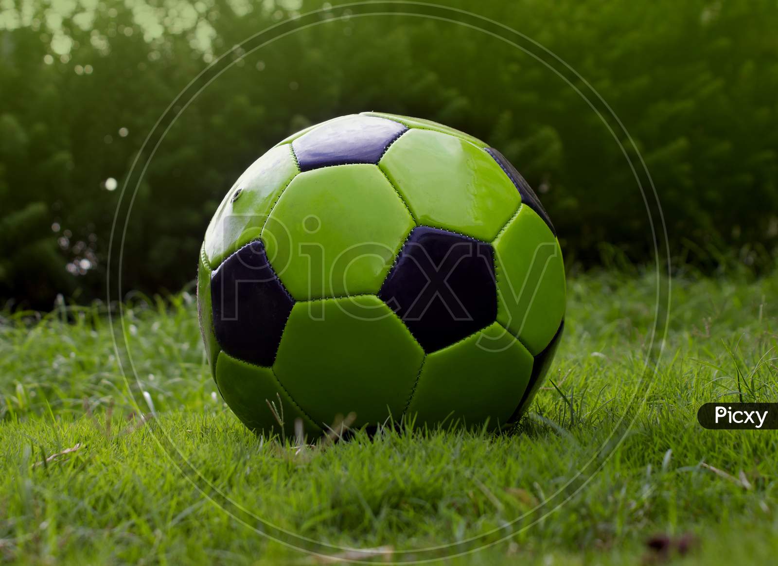 Selective focus on a Football in a Ground