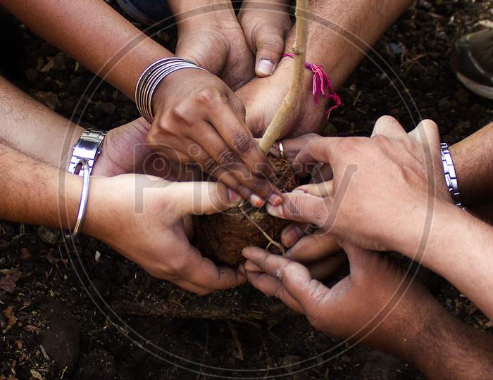 Group of people planting a Plant