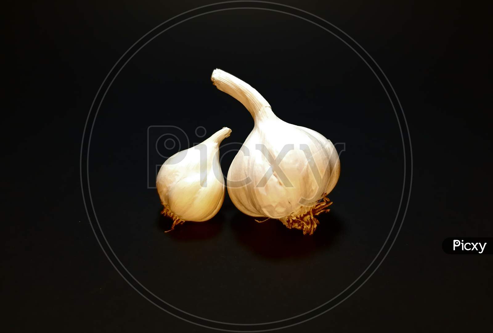 Garlic On Black Background Images Stock Photos