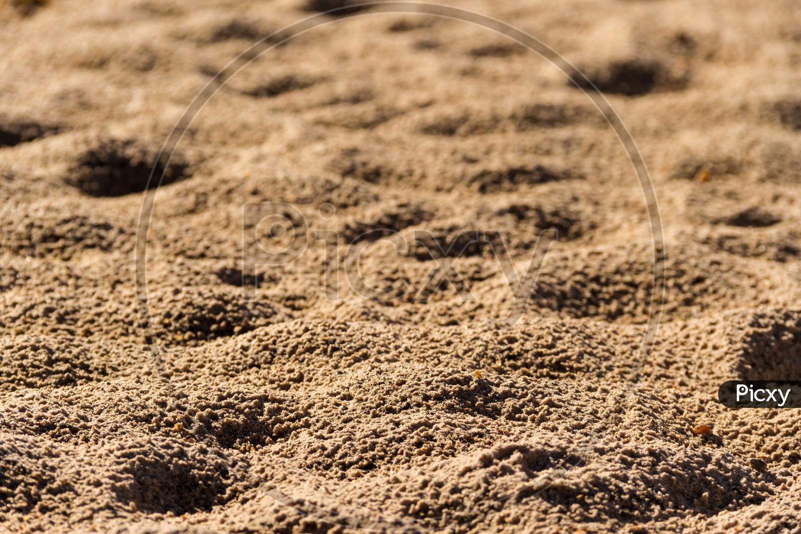 Background With Texture Of Sand And Dune In The Summer