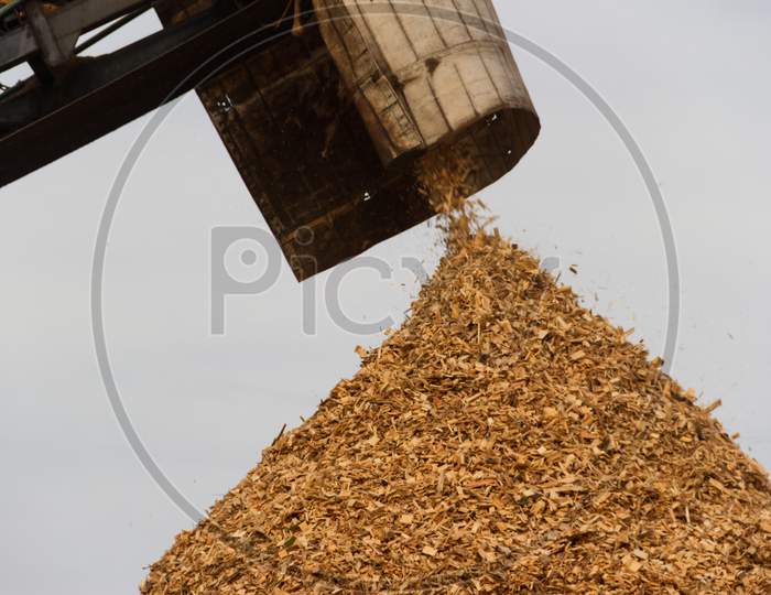 Hopper Forming A Pile Of Sawdust In The Wood Industry