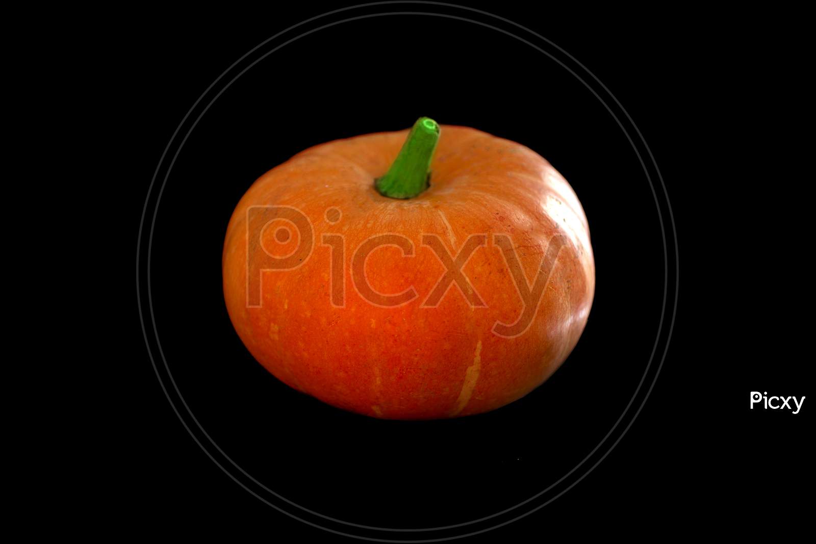 Close up shot of a Pumpkin