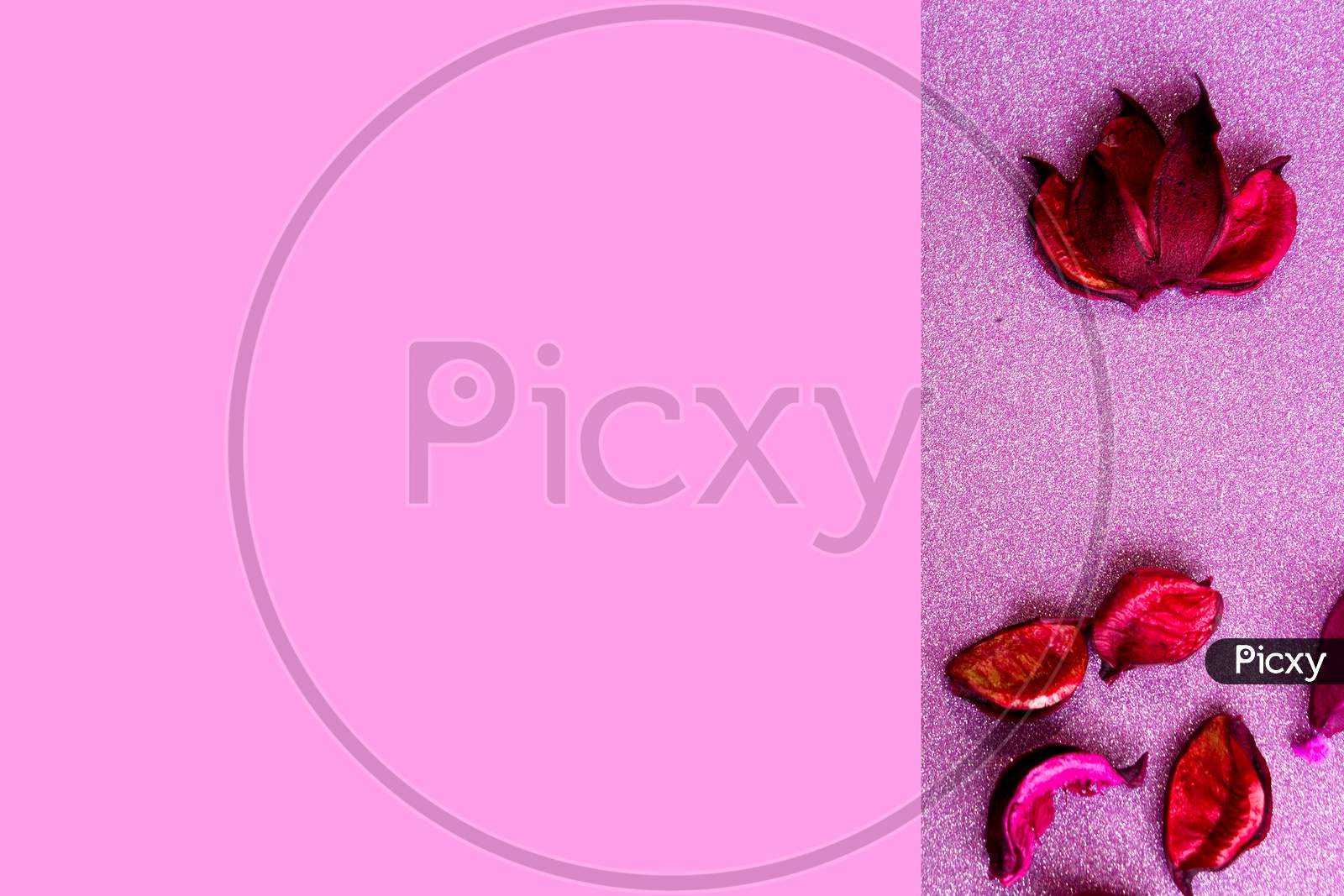Flower Petals on Pink Background