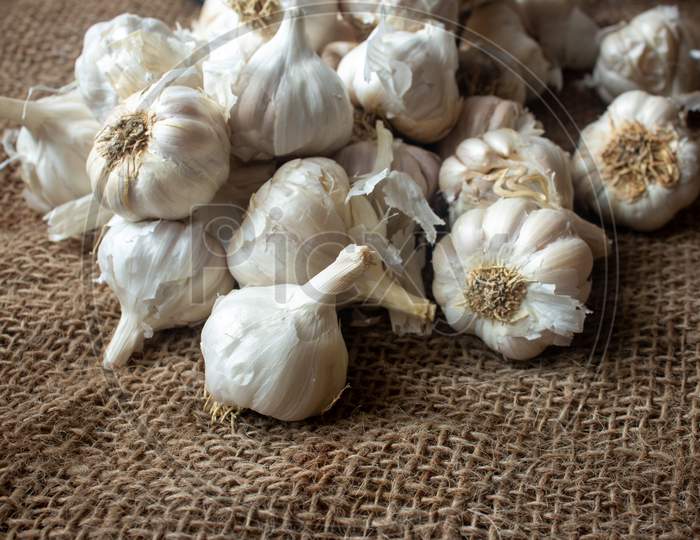 View Of Whole Garlic Bulbs. Garlic Helps Build Immunity Against Cold And Flu.