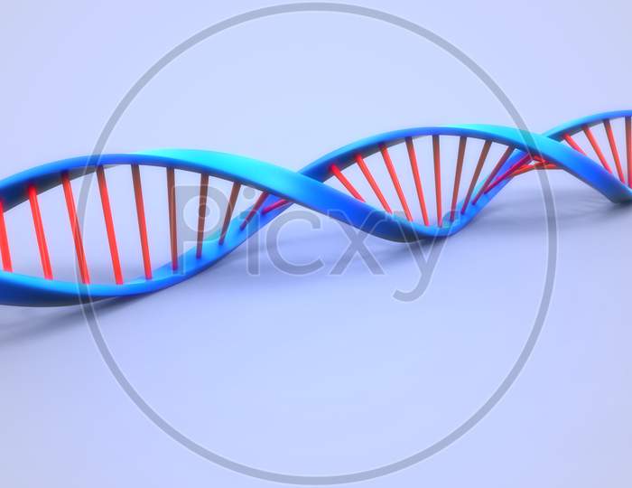 DNA or Deoxyribonucleic Acid Anatomy