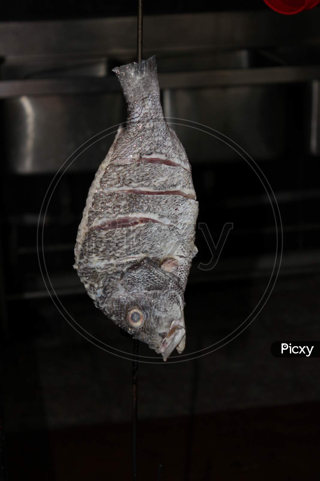 An Indian sea fish readied for cooking in Tandoori Owen