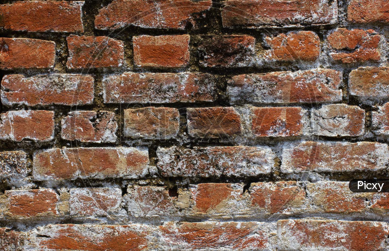 Selective focus on Brick Wall