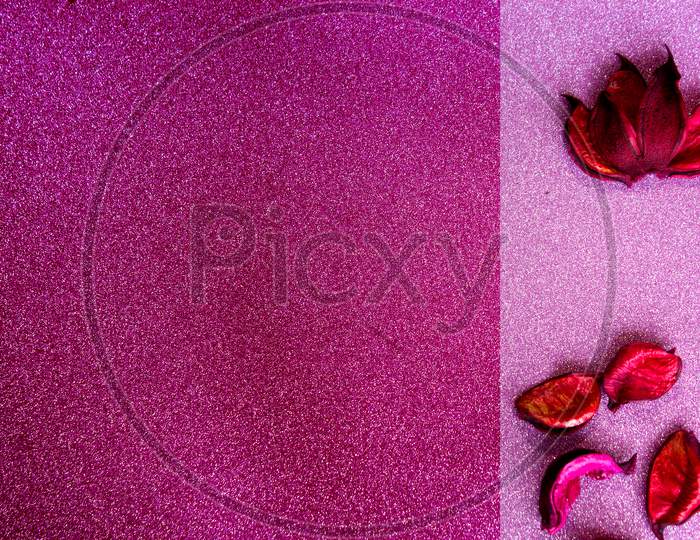 Flower Petals on Pink Background