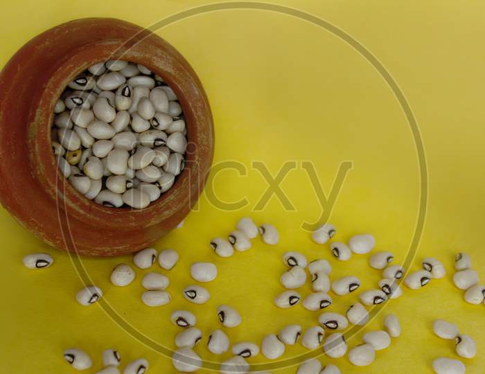 Seeds in a Mud Pot on Yellow Background