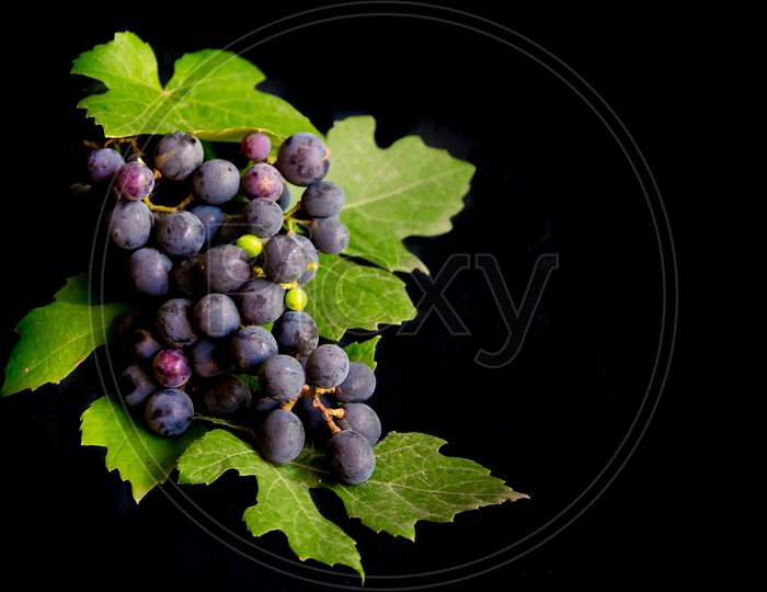 Bunch Of Fresh Grapes And Grape Leaves Isolated On Black Background