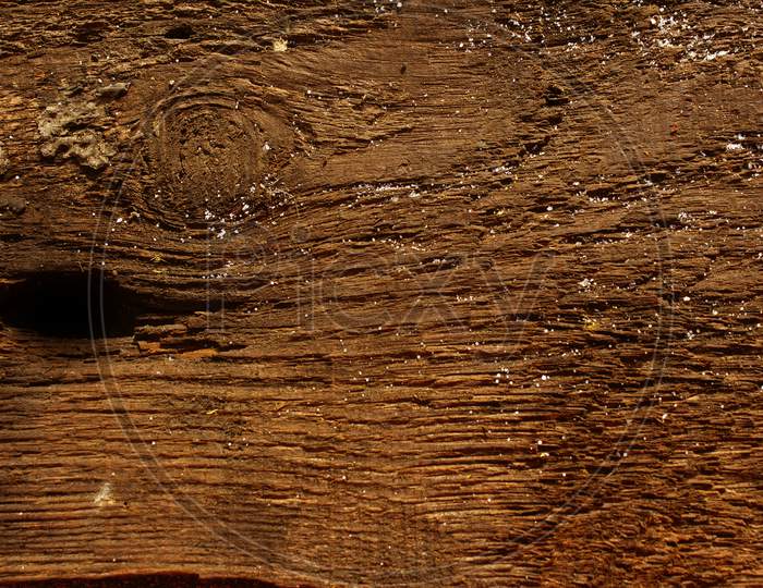 Close up shot of Wooden Texture