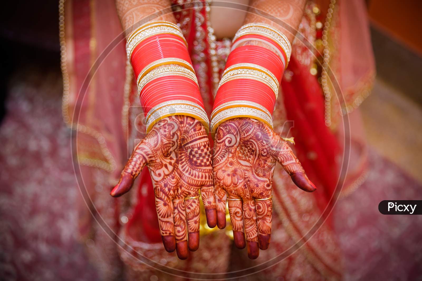 Indian Bride Hands