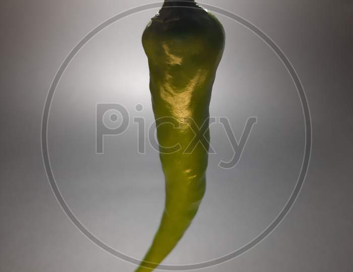 Single Green Chilli Images Stock Photos And Vectors