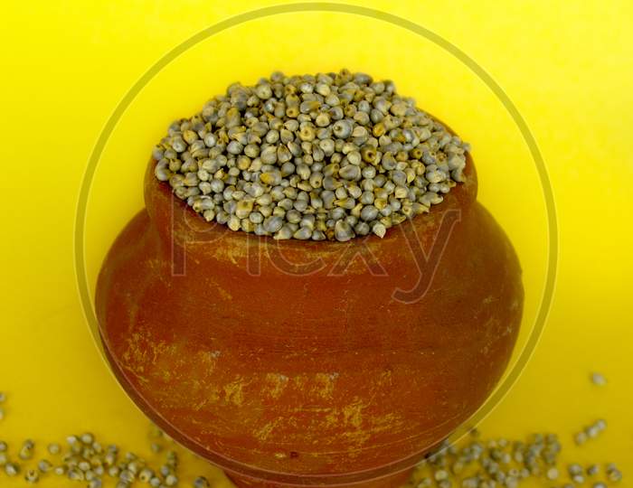 Seeds in a Mud Pot on Yellow Background