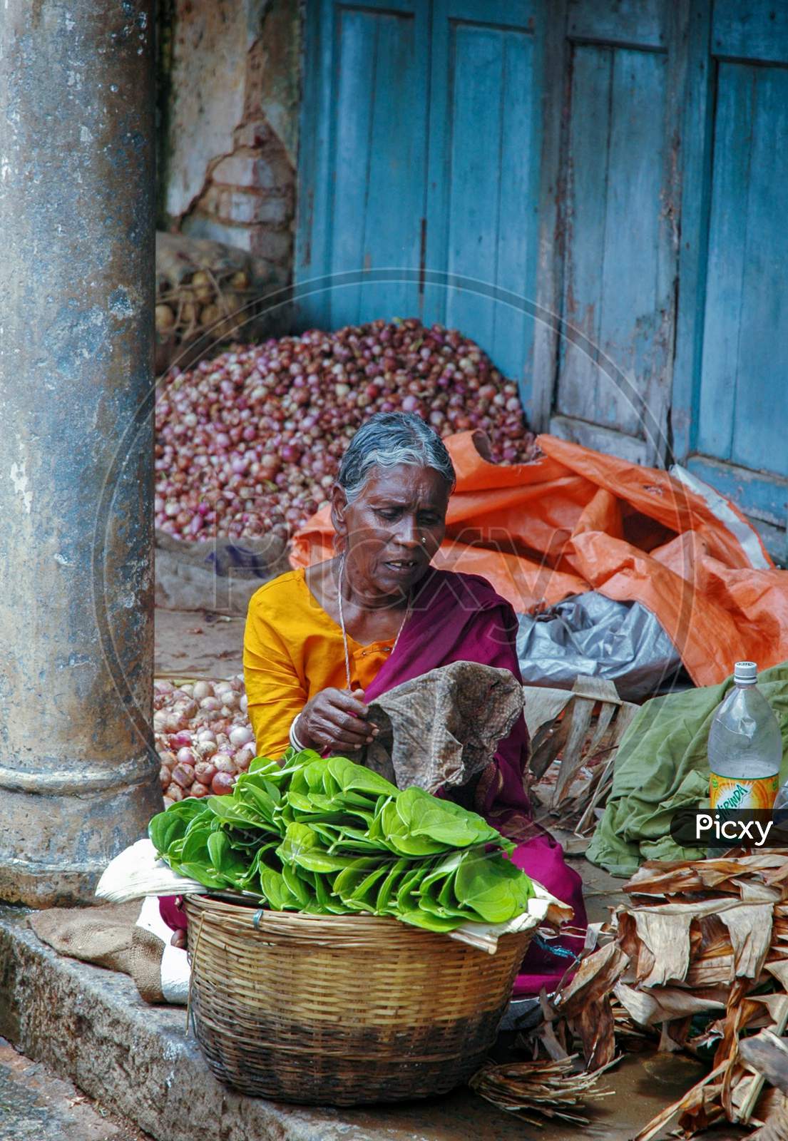 Old Indian Women Selling Betel Leaves (Paan) Sitting At The Roadside