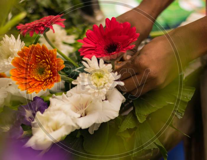 Flower Seller Is Making Flower A Bouquet With Red And Orange Color Gerbera And White Dahlia Flower