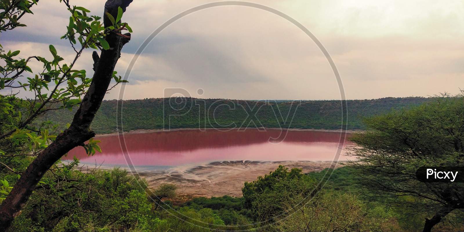 Pink Lonar Crater At Buldhana Maharashtra India