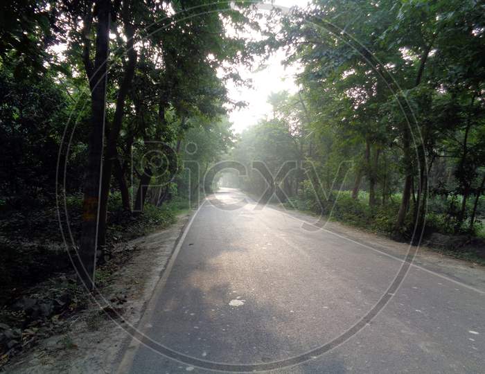 Black Highway Road Going Through Forest