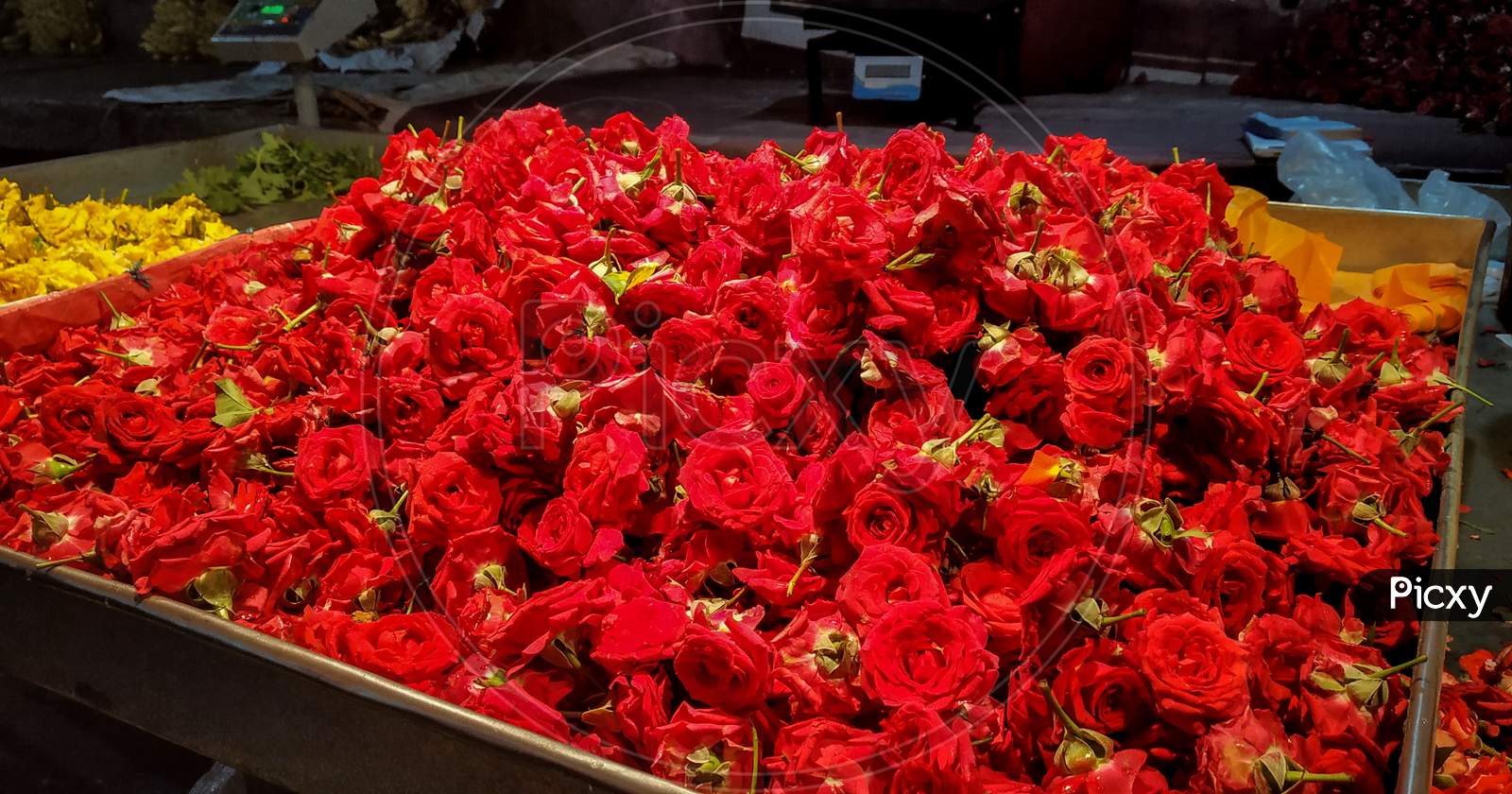 Pile Of Red Roses Kept In A Tray For Sale In A Indian Market