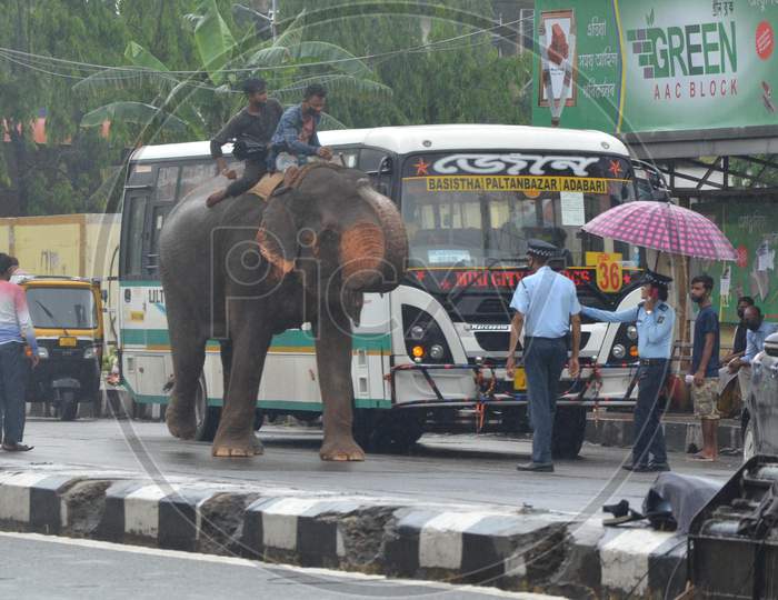 Traffic Police Feeds An Elephant While On Duty On A Rainy Day, During The Ongoing Covid-19 Nationwide Lockdown, In Guwahati On Saturday, June 13, 2020.