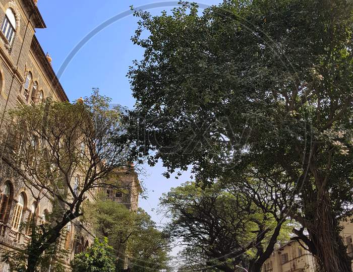 Street,Ballard Estate,Fort,Mumbai