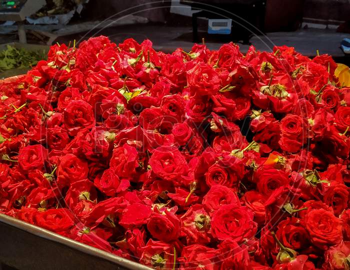 Pile Of Red Roses Kept In A Tray For Sale In A Indian Market
