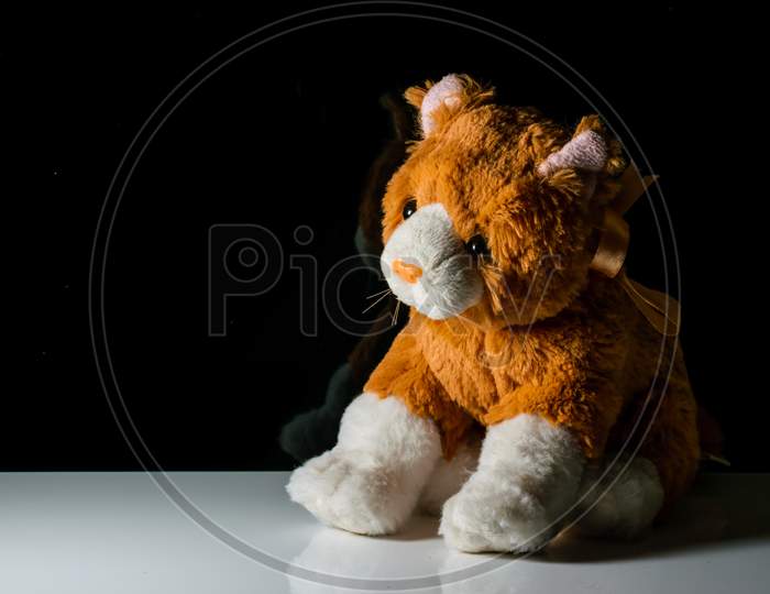 An Isolated Puppy Toy On A White Reflective Surface In A Dark Background