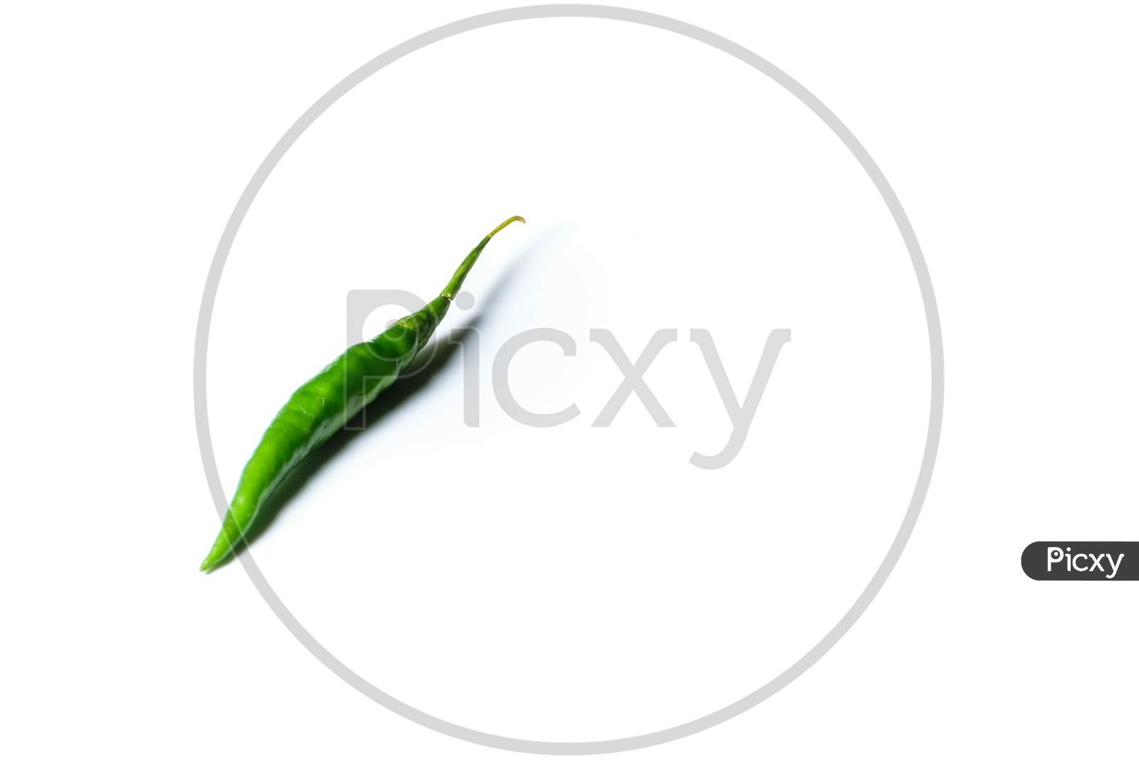 Isolated green chili placed in a white background with space for text in the right