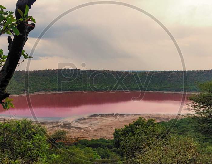 Pink Lonar Crater At Buldhana Maharashtra India