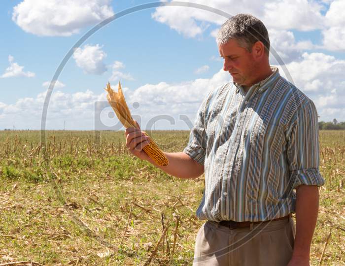 Country Man In The Stubble Of The Corn Crop