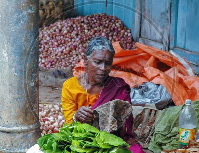 Old Indian Women Selling Betel Leaves (Paan) Sitting At The Roadside