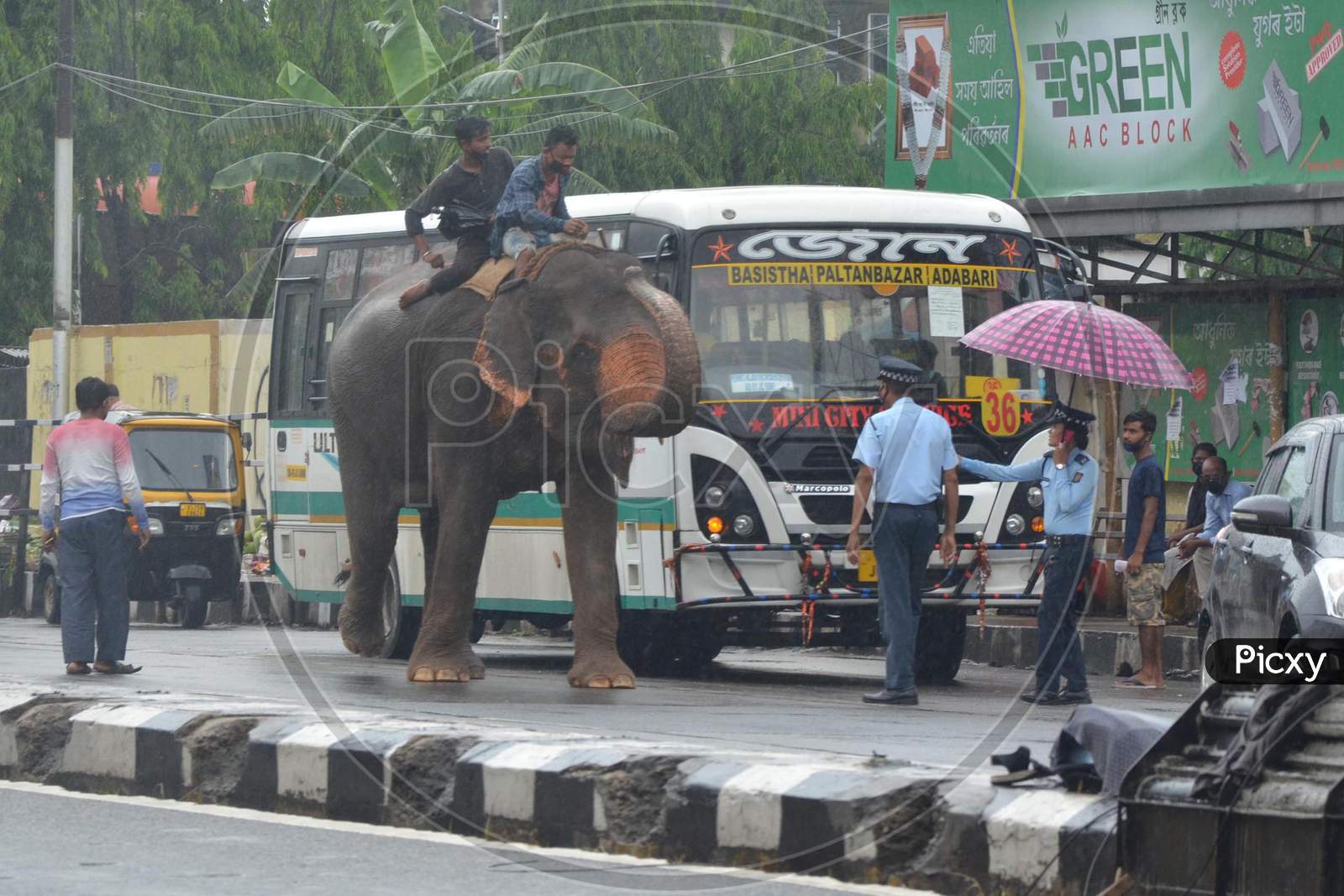Traffic Police Feeds An Elephant While On Duty On A Rainy Day, During The Ongoing Covid-19 Nationwide Lockdown, In Guwahati On Saturday, June 13, 2020.