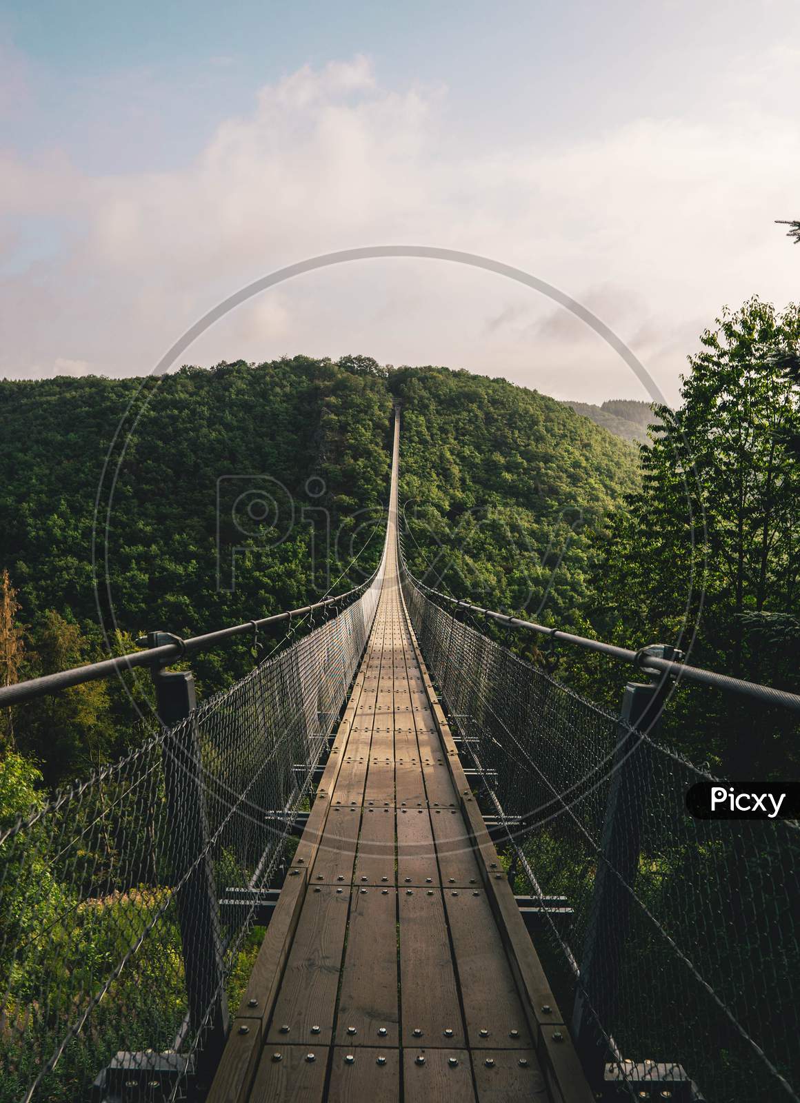 Brown wooden Hanging bridge in the evergreen tropical forest over top of trees for adventure walking and sightseeing surrounded by green forest trees.