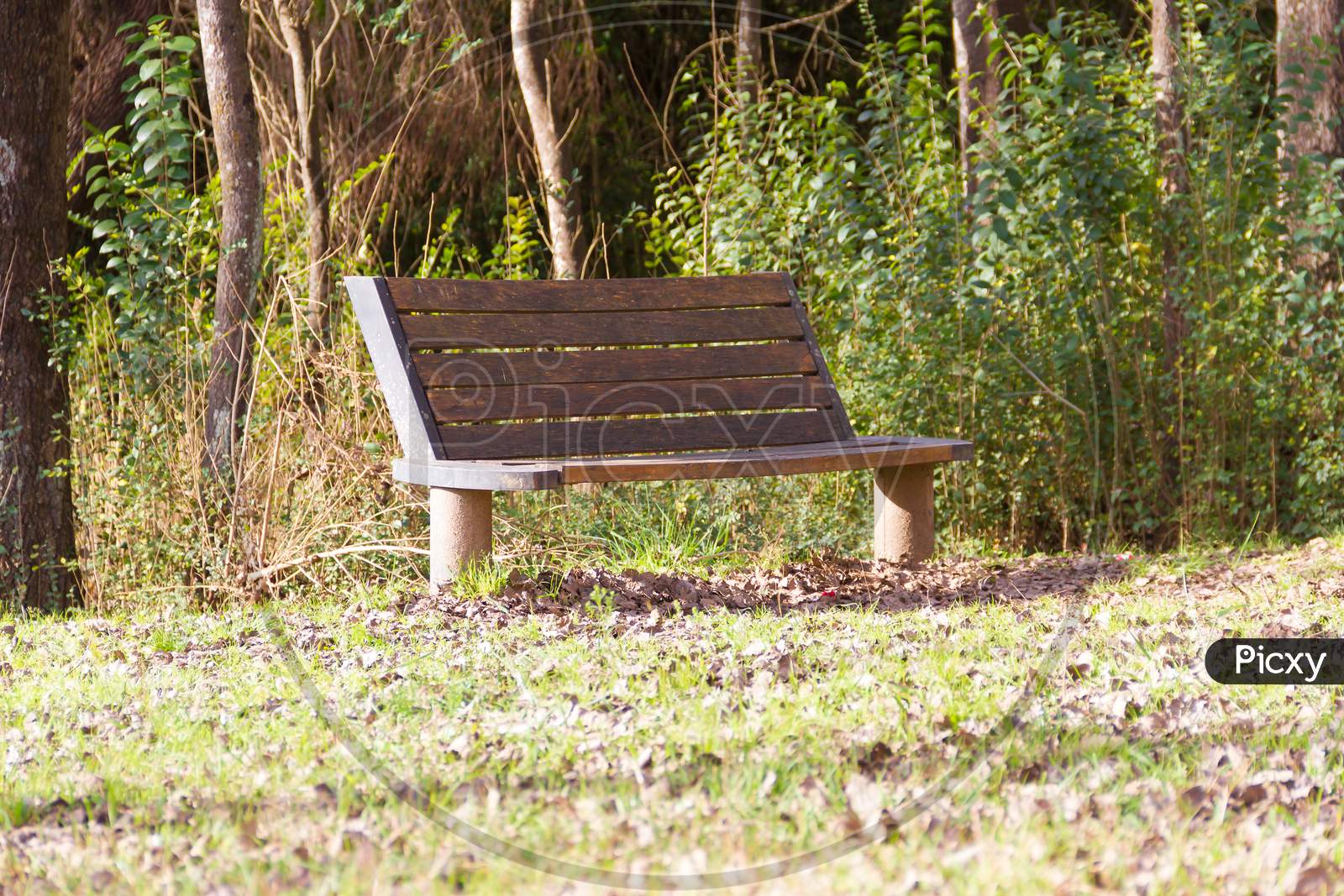 Lonely Bench Under The Trees And With The Fallen Leaves In Autumn